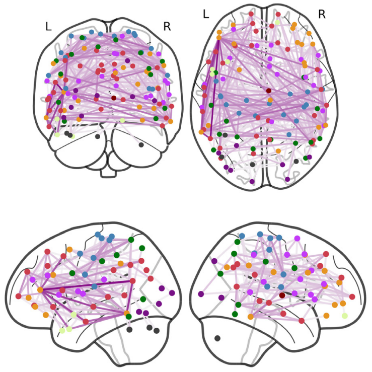 View, engage, predict: enhancing brain-behavior mapping with naturalistic movie-watching fMRI